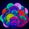 60 Pieces Neon Glow Balloons UV Party Supplies Happy Birthday Glow in The Dark Latex Fluorescent Balloons for Neon Party Supplies, 12 Inch
